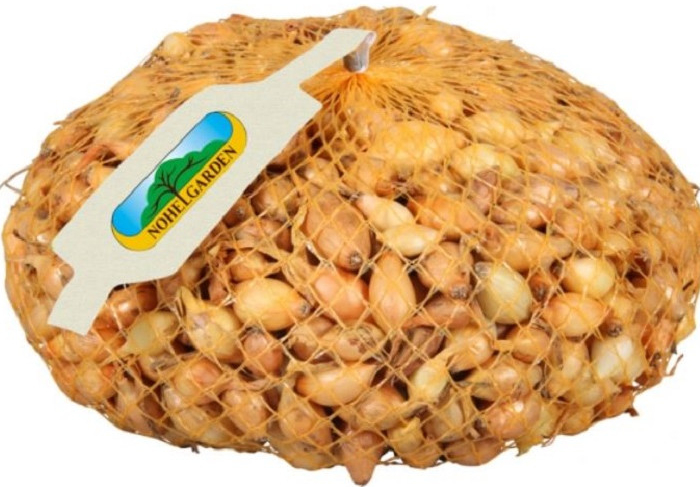 Cibule sazečka Všetana - Allium cepa - cibulky - 500 g