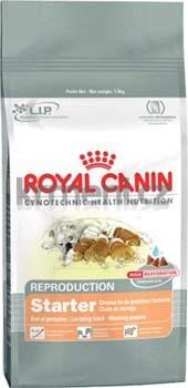 Royal Canin Starter Puppy 10 kg