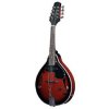 TENSON Folk A-1 E