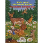 Poznáváme zvířátka lese - moje první obr. knížka /serie 640