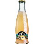 Cappy Ananas 100% 0,2L