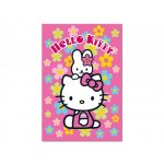1000 Hello Kitty