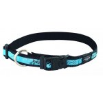 Rogz Fancy Dress Scooter Turquoise Chrome