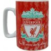 Team Chanting Mug