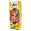 Palette Color Shampoo Polární stříbro 309