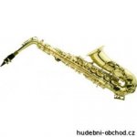 Ashton SX 10