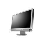 EIZO FX2431W