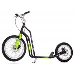 YEDOO Mezeq disc
