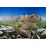Fotopozadí Red Canyon 0,6x25 cm