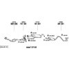 Bosal BS 154-081