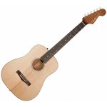 Fender Newporter Traveler