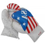 Spartan American design junior