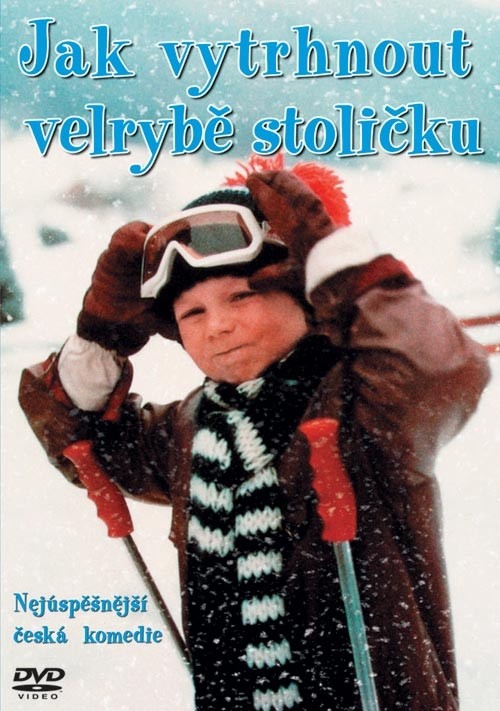 Jak vytrhnout velrybě stoličku DVD