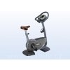 Technogym Bike