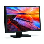 NEC PA241W