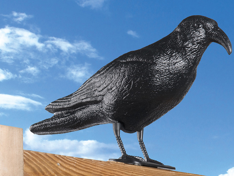 Hutermann Havran plastová 3D maketa na plašení ptáků