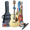 Ashton D 25 Pack