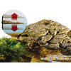 Hagen Exo Terra ostrov L 40,6x24x7 cm
