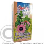 Apotheke Echinacea s ginkgo bilobou čaj 20x1.5g