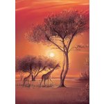 1000 Afrika