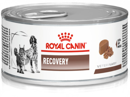 Royal Canin Veterinary Diet Dog Recovery Can 195 g