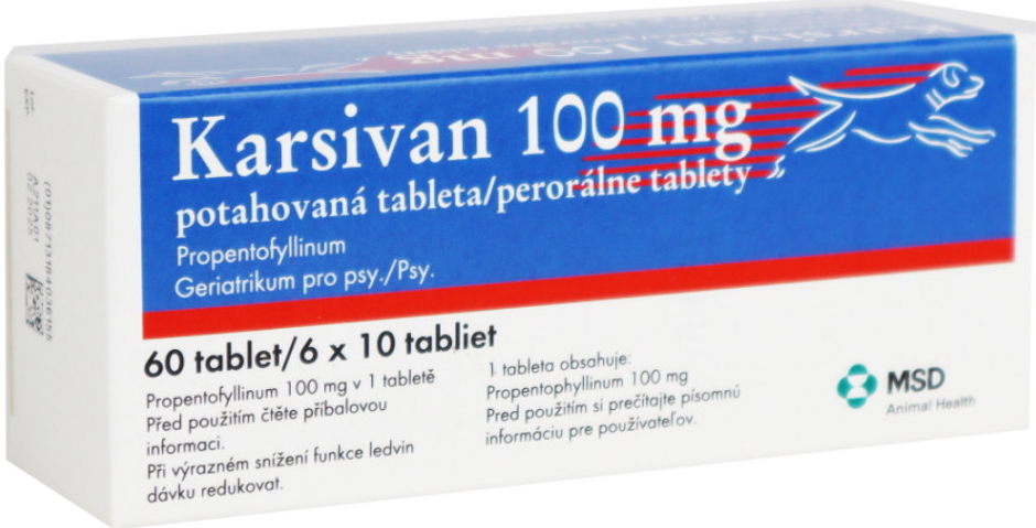 Karsivan 100 mg 60 tbl