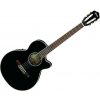 Ibanez AEG10NE