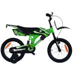 KAWASAKI Triumph