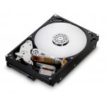 Hitachi Deskstar E7K1000 500GB, 7200rpm, 32MB, SATAII, HDE721050SLA330