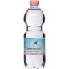 San Benedetto Naturale 0,5l