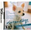 Chihuahua and Friends