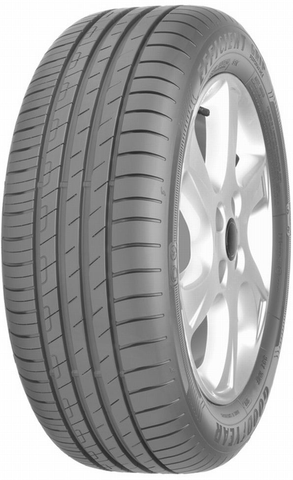 Goodyear EfficientGrip Performance 205/55 R16 91V