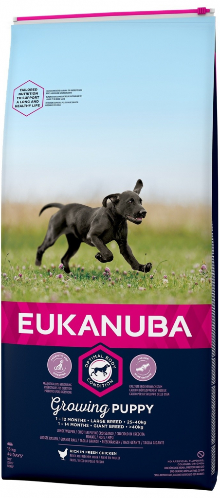 Eukanuba Puppy & Junior Large Breed 2 x 15 kg