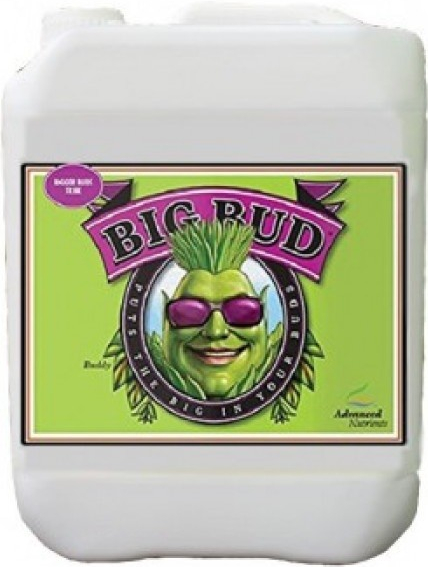 Advanced Nutrients Big Bud Liquid 10 l