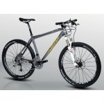 4Ever ZETTA RX Disc 2010