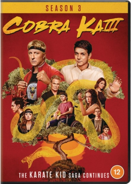 Cobra Kai Season 3 DVD