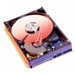 Western Digital Caviar SE 250GB, 3,5",  SATAII, 8MB, 7200rpm, 8.9ms, WD2500AAJS