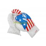 Spartan American design junior