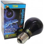 ExoTerra Night Glo 75W