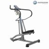 Steppery Horizon Fitness