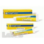 Dolgit 1x100g/5g