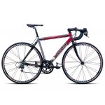 TORPADO Destriero T1000