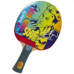 Butterfly Timo Boll 500
