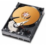 Western Digital Caviar Blue 320GB, 7200rpm, UATA, 16MB, WD3200AAKB