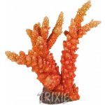 TRIXIE Špičatý korál 18 cm