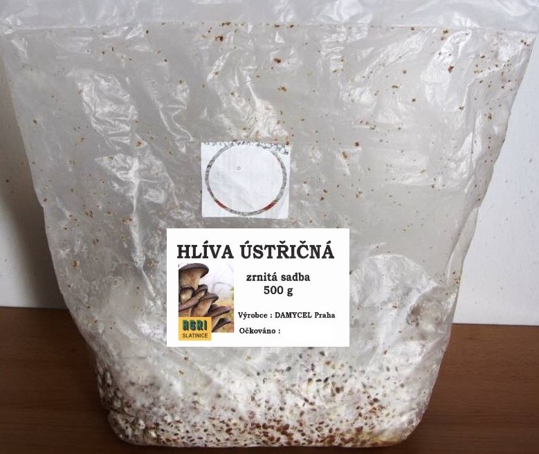 Sadba Hlíva ústřičná cca 0,5 kg