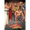 POSTERS STREET FIGHTER - plakáty | 3D - postery, 47 x 67 cm