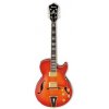 Ibanez AG 96