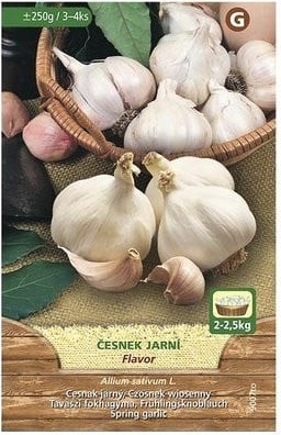 Česnek jarní, sazečka Flavor, MoravoSeed, 250 g