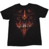 Diablo III Burning